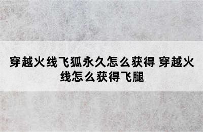 穿越火线飞狐永久怎么获得 穿越火线怎么获得飞腿